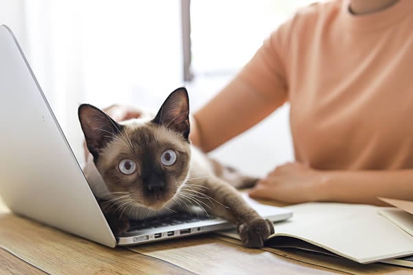 Person som får hjelp med PC-en hjemme