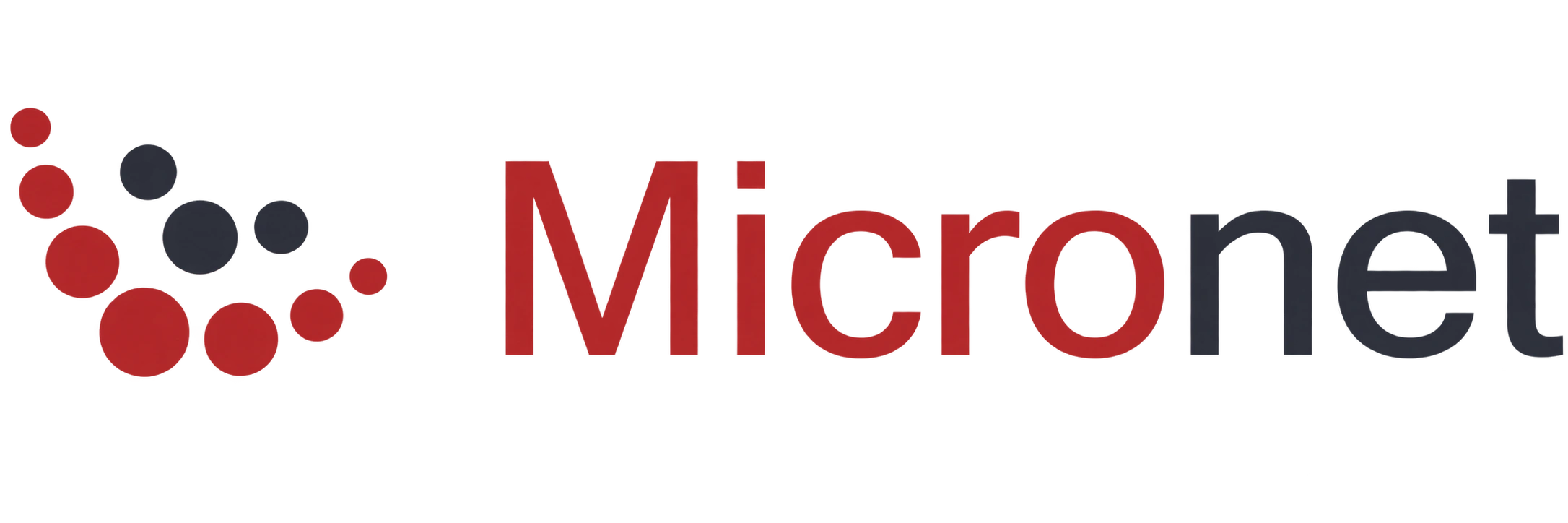 Micronet